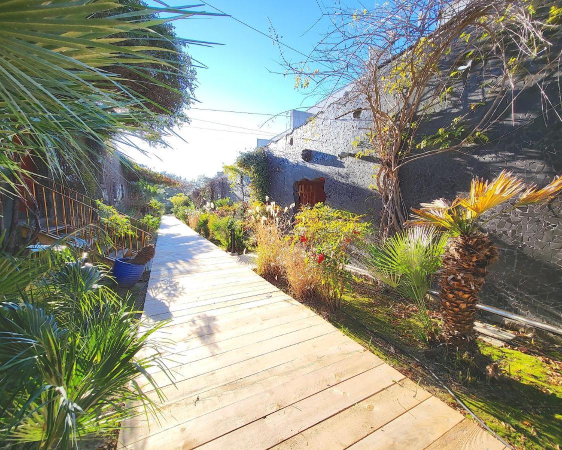 Bandol - Residence Premium Jardin, Piscine Et Garage Exteriör bild